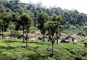 India's iconic hill stations