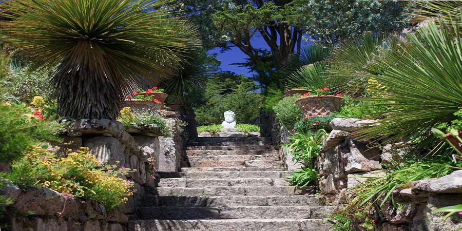 Exploring the Tresco Abbey Garden