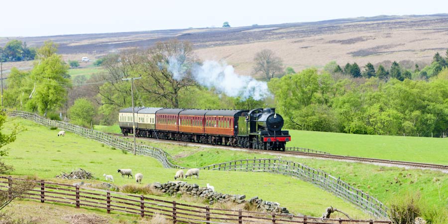 Travelling through the rugged beauty of the Yorkshire Moors