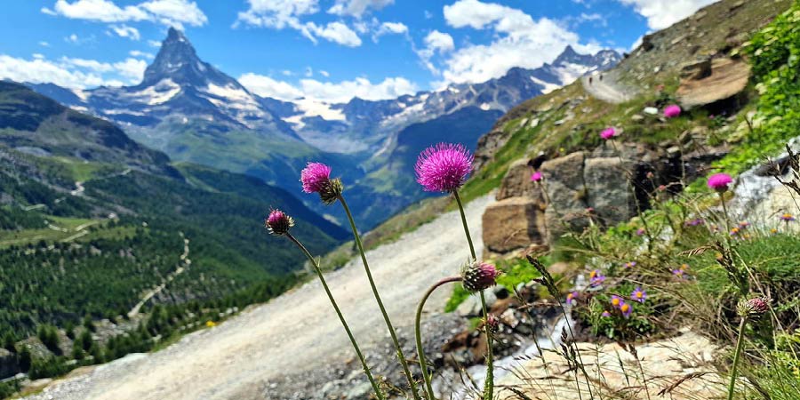 Matterhorn Trail